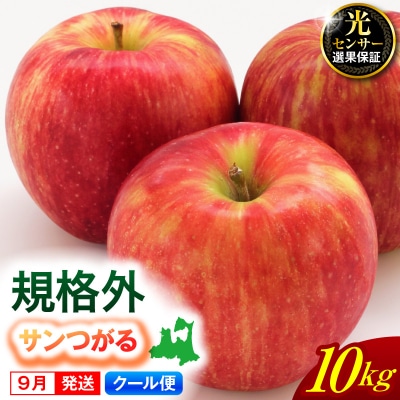 【2026年9月発送】【規格外】りんご 10kg サンつがる【クール便】 青森県産