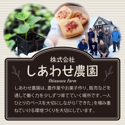 バターサンドクッキー りんご 1箱(6個入)個包装 バターサンド ソフトクッキー 青森県五所川原市