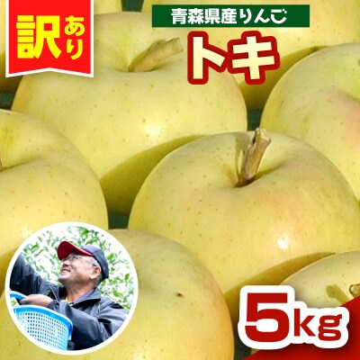 りんご トキ 5kg 程度 訳あり 青森 五所川原市 10月中旬以降順次発送 リンゴ とき