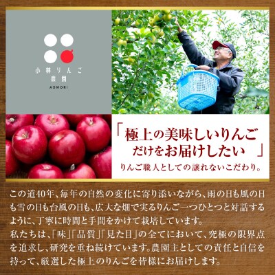 りんご トキ 5kg 程度 訳あり 青森 五所川原市 10月中旬以降順次発送 リンゴ とき