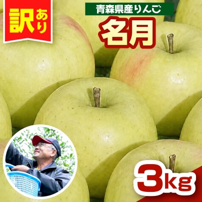 ぐんま名月 りんご 3kg 程度 訳あり 青森 五所川原市 11月中旬以降順次発送 リンゴ