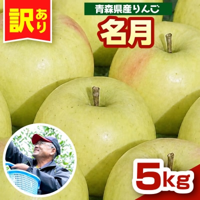 ぐんま名月 りんご 5kg 程度 訳あり 青森 五所川原市 11月中旬以降順次発送 リンゴ