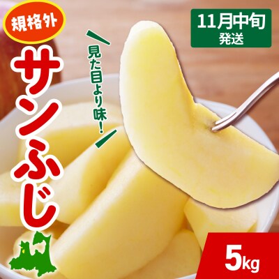 【2026年11月中旬発送】 りんご サンふじ 約 5kg 規格外 程度 青森 五所川原 不揃い 