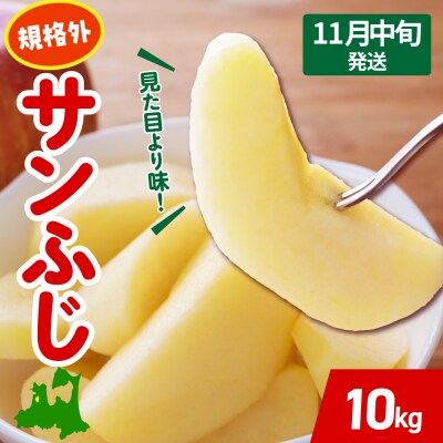 【2026年11月中旬発送】 りんご 約 10kg サンふじ 【規格外】 青森 五所川原