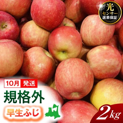 【2026年10月発送】【規格外】 りんご 約2kg 早生ふじ 光センサー選果保証 青森県産
