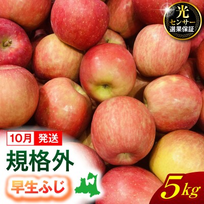 【2026年10月発送】【規格外】 りんご 約5kg 早生ふじ 光センサー選果保証 青森県産
