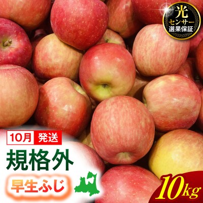 【2026年10月発送】【規格外】 りんご 約10kg 早生ふじ 光センサー選果保証 青森県産