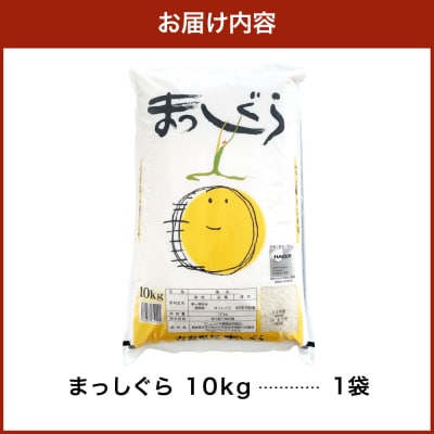 米 まっしぐら10kg(白米) 青森 五所川原 