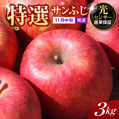 【2026年11月中旬発送】【特選】りんご 約3kg サンふじ 青森 五所川原