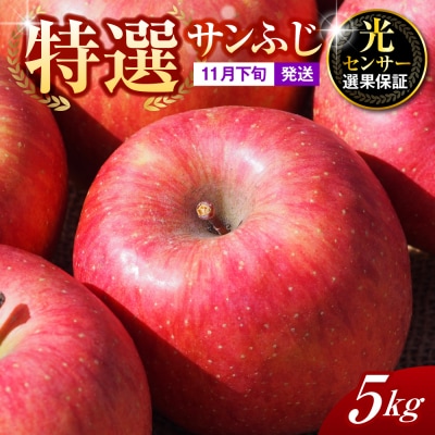 【2026年11月下旬発送】【特選】りんご 約5kg サンふじ 青森 五所川原