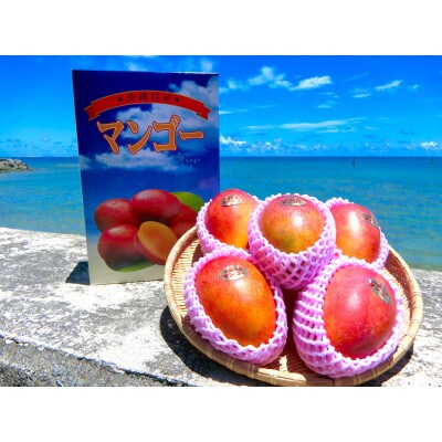 久米島産完熟マンゴー(2kg)