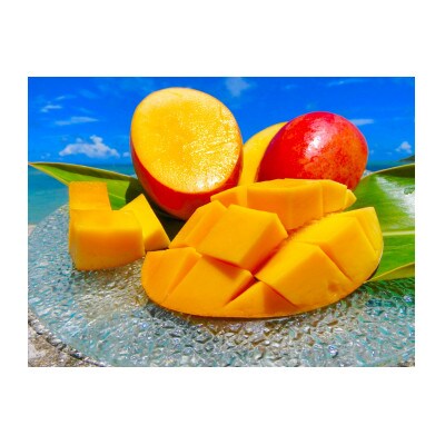 久米島産完熟マンゴー 1kg お礼品詳細 ふるさと納税なら さとふる