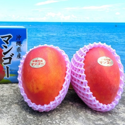 【2026年7月上旬から順次発送】久米島産の完熟アップルマンゴー1kg