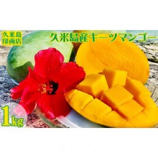 久米島産キーツマンゴー約1kg