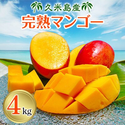 【2025年発送】久米島産完熟マンゴー4kg