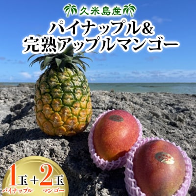 【2026年7月上旬から順次発送】久米島産パイナップル1玉&完熟アップルマンゴー2玉