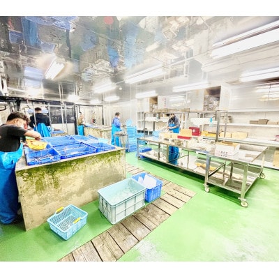 【数量限定】急速冷凍ヤワラ車海老(加熱調理用/500g)