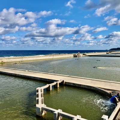 【久米総合開発】急速冷凍ヤワラ車海老(加熱調理用/500g)