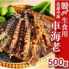 久米島漁協の活〆冷凍車海老　生食用500g