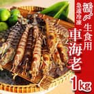 久米島漁協の活〆冷凍車海老　生食用1kg