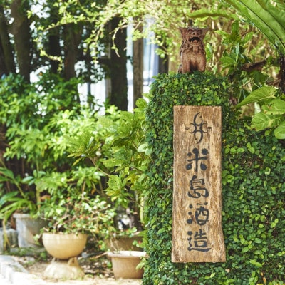 【琉球泡盛・米島酒造】美ら蛍 720ml×2本