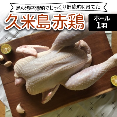 島の泡盛酒粕でじっくり健康的に育てた 久米島赤鶏ホール(丸鶏)1羽(約2kg)