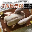 島の泡盛酒粕でじっくり健康的に育てた 久米島赤鶏ホール(丸鶏)1羽&ぶつ切り2kg(合計4kg)