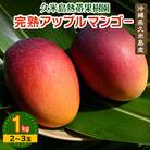【2026年6月から順次発送・秀品】久米島熱帯果樹園の完熟アップルマンゴー1kg(2～3玉)