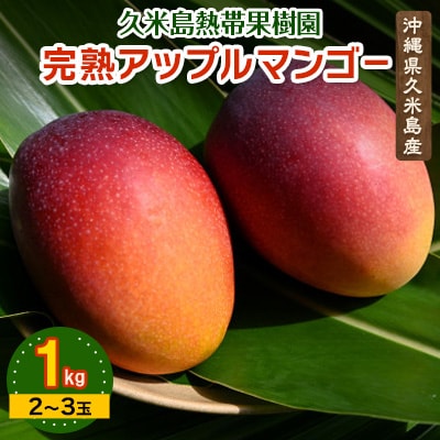 【2026年6月から順次発送・秀品】久米島熱帯果樹園の完熟アップルマンゴー1kg(2～3玉)