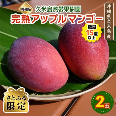 【さとふる限定】【2026年6月から順次発送・特選品】糖度15度以上の完熟アップルマンゴー2玉
