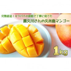 秀品・完熟直送!ミツバチの受粉で丁寧に育てた、喜久川さんの久米島マンゴー1kg