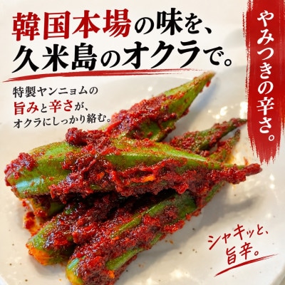 【季節限定・久米島産オクラ使用】韓国本場味「オクラキムチ」120g×3パック