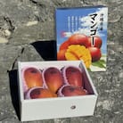 【2026年発送・贈答用】イーフ農園の完熟マンゴー2kg(5～6玉)