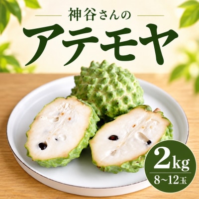【2027年1月中旬から順次発送】ベテラン農家の神谷さんが育てたアテモヤ2kg(8～12玉)