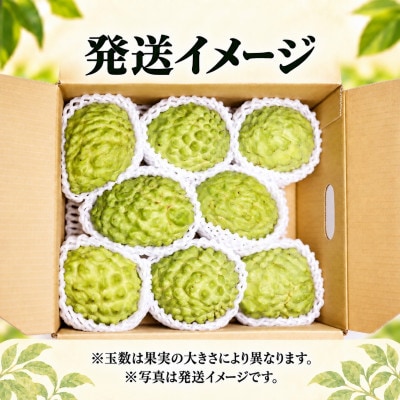 【2027年1月中旬から順次発送】ベテラン農家の神谷さんが育てたアテモヤ2kg(8～12玉)