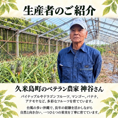 【2027年1月中旬から順次発送】ベテラン農家の神谷さんが育てたアテモヤ2kg(8～12玉)
