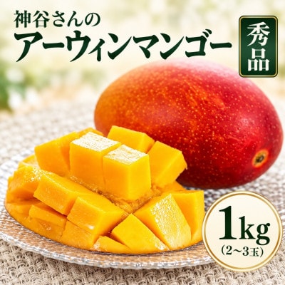 【2027年7月上旬から順次発送・化粧箱入り】神谷さんの秀品アーウィンマンゴー1kg(2～3玉)
