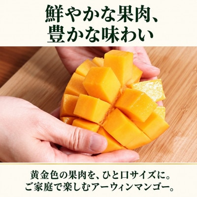 【2027年7月上旬から順次発送・化粧箱入り】神谷さんの秀品アーウィンマンゴー1kg(2～3玉)