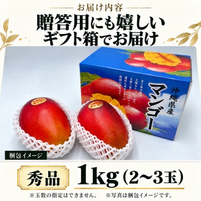 【2027年7月上旬から順次発送・化粧箱入り】神谷さんの秀品アーウィンマンゴー1kg(2～3玉)