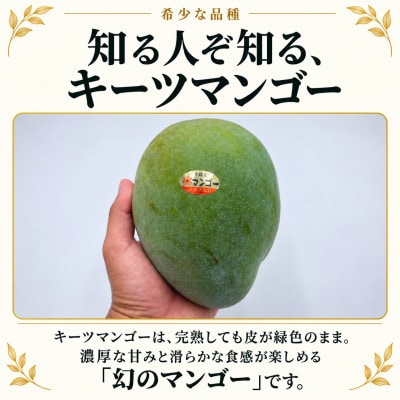 【2027年8月中旬から順次発送・化粧箱入り】神谷さんのキーツマンゴー大玉1玉