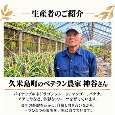 【2027年8月中旬から順次発送・化粧箱入り】神谷さんのキーツマンゴー大玉1玉