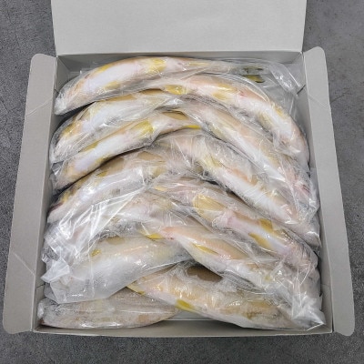 鮎の養殖産量日本一の愛知県より とよかわ鮎10kgセット おおよそ100匹 バーベキュー用 お礼品詳細 ふるさと納税なら さとふる 鮎の養殖産量日本一の愛知県より とよかわ鮎10kgセット おおよそ100匹 バーベキュー用 お礼品詳細 ふるさと納税なら さとふる
