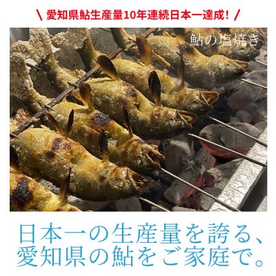 鮎の養殖産量日本一の愛知県より「とよかわ鮎10kgセット」(バーベキュー用)
