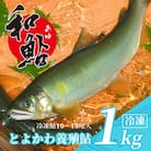 とよかわ鮎 1kg - 厳選鮎使用!【おすすめお礼品】