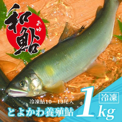 とよかわ鮎 1kg - 厳選鮎使用!【おすすめお礼品】