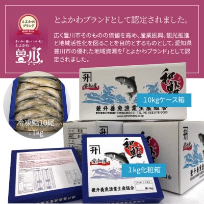 【さとふる限定】とよかわ鮎 1kg - 厳選鮎使用!おすすめお礼品