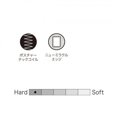【Sealy】ホテルスタイルスタンダードTTマットレス(セミダブル)