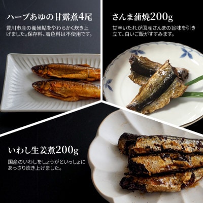 7品合わせて1.2kg以上! つくだに7品詰め合わせ