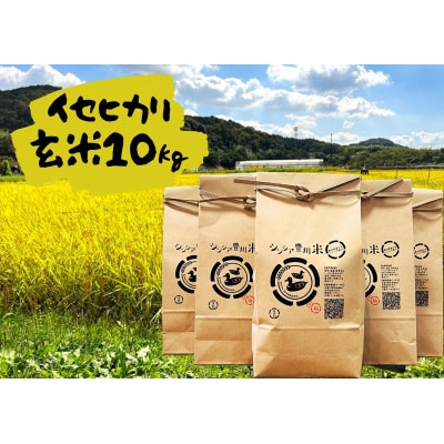 新米【2025年11月～順次発送】栽培期間中肥料・農薬を使用せず育てた玄米(イセヒカリ)
