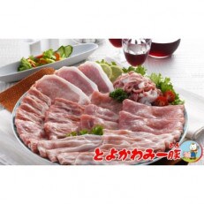 とよかわみー豚　バラエティセット(4～5人前)
